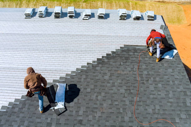 Best Gutter Installation and Roofing  in Primera, TX