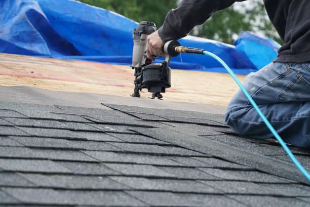 Best Storm Damage Roof Repair  in Primera, TX