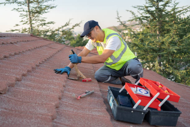 Best Flat Roof Repair Services  in Primera, TX