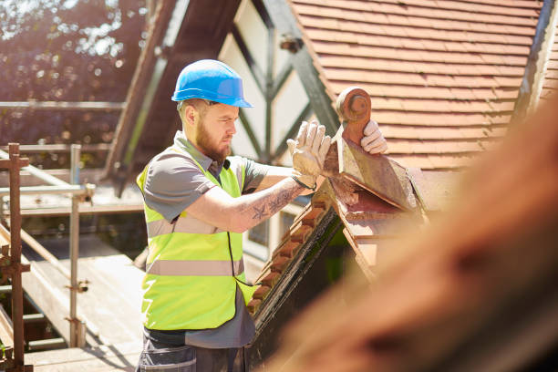 Best Residential Roofing Contractor  in Primera, TX
